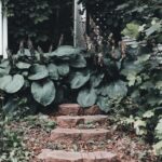 Simple Steps to Create a Sustainable Home Garden for Beginners