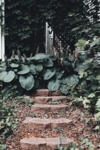 Simple Steps to Create a Sustainable Home Garden for Beginners